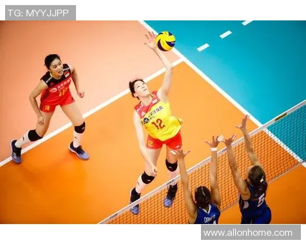 成都排球队的转型之路与未来发展趋势深度解析